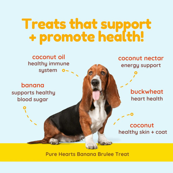 Coco Therapy - Banana Brulee Dog Treats 5oz