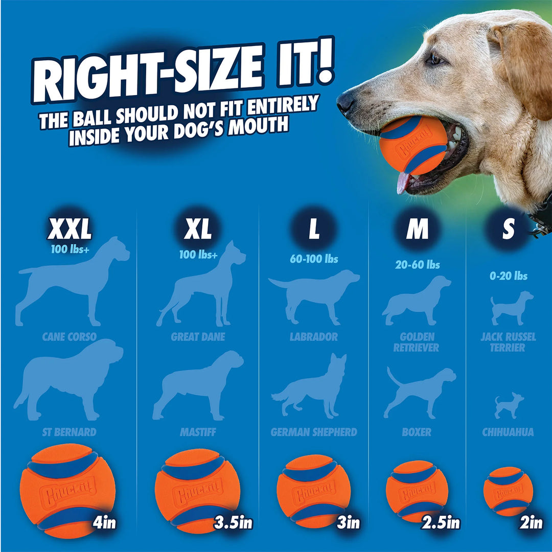Chuckit! - Ultra Squeaker Ball (Large)