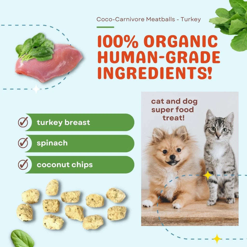 Coco-Carnivore Meatballs – Turkey + Spinach + Coconut 2.5oz