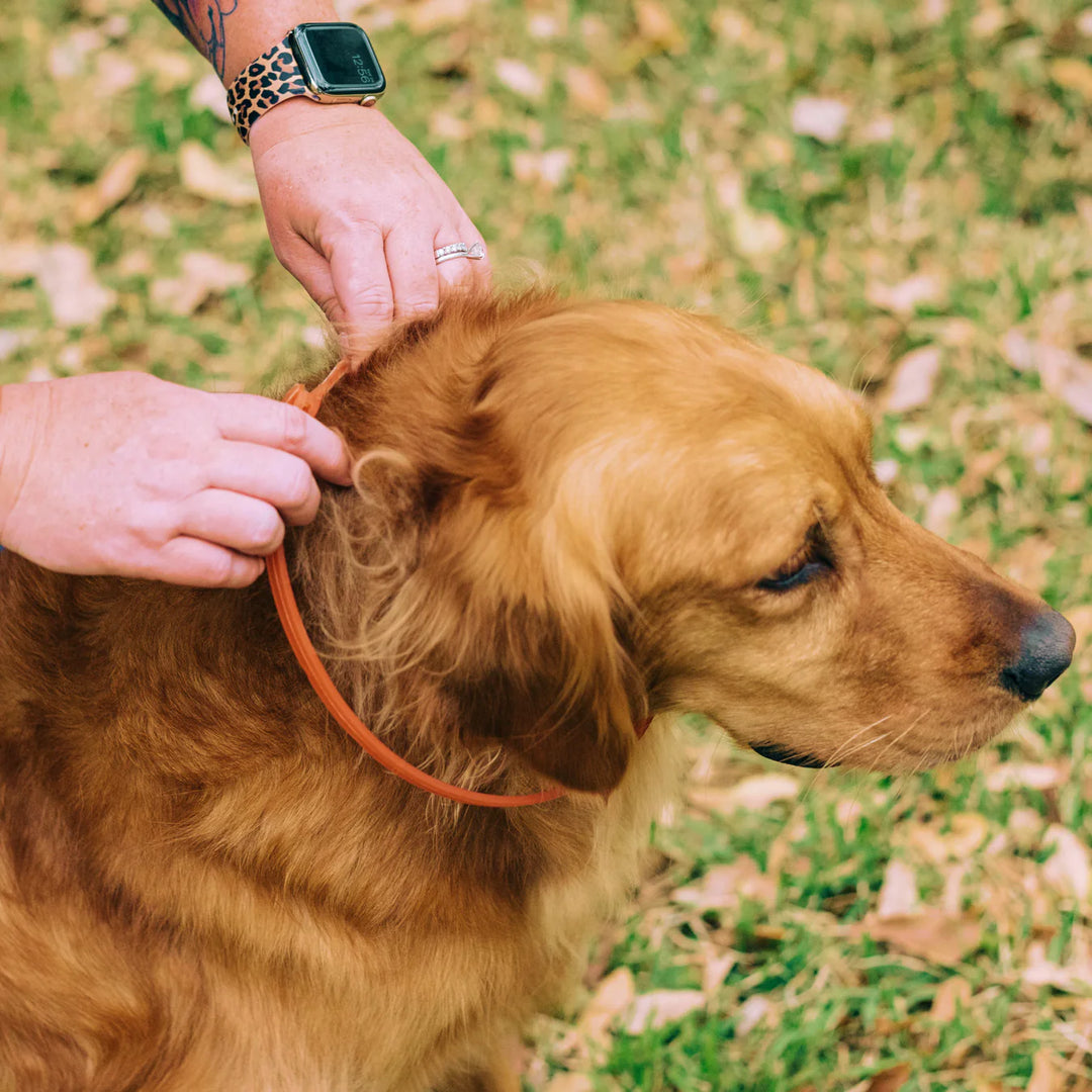 Wondercide - Flea & Tick Dog Collar