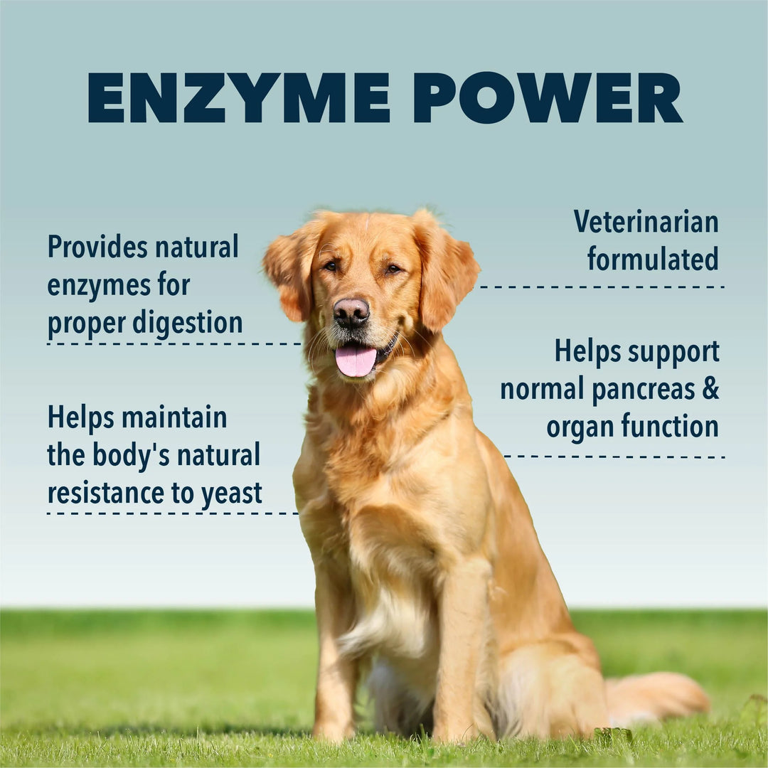 Four Leaf Rover - Digest - Digestive Enzymes And Probiotics For Dogs