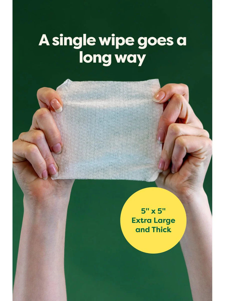 Earth Rated - Ear Wipes 60ct
