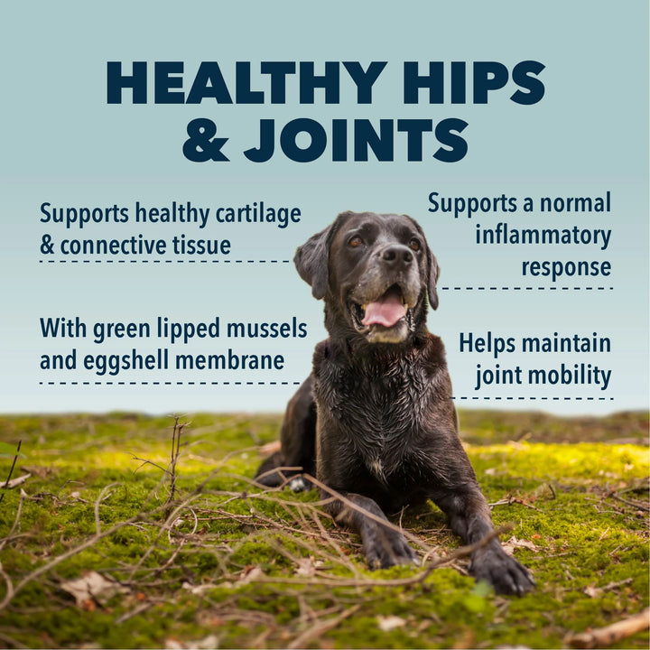 Four Leaf Rover - Hip & Joint - Natural Joint Support
