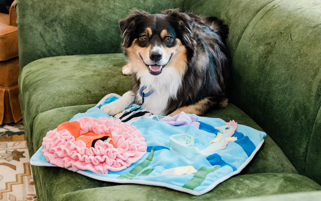 Injoya - Under the Sea Snuffle Mat