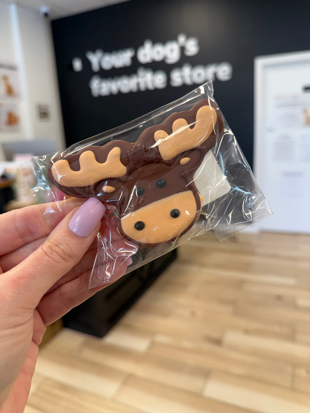 Bakery Table: Moose (Single Cookie)