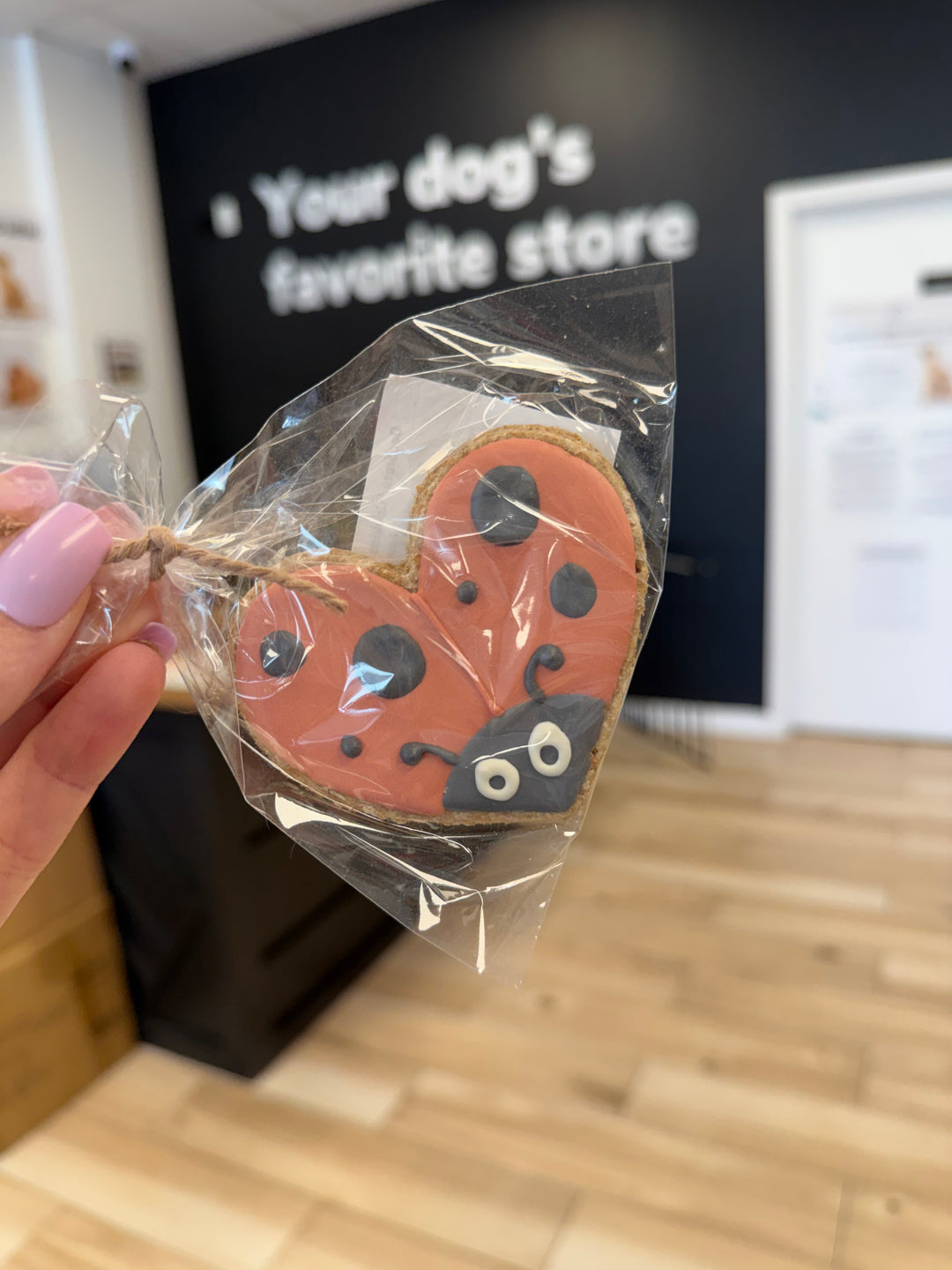 Bakery Table: Lady Bug (Single Cookie)