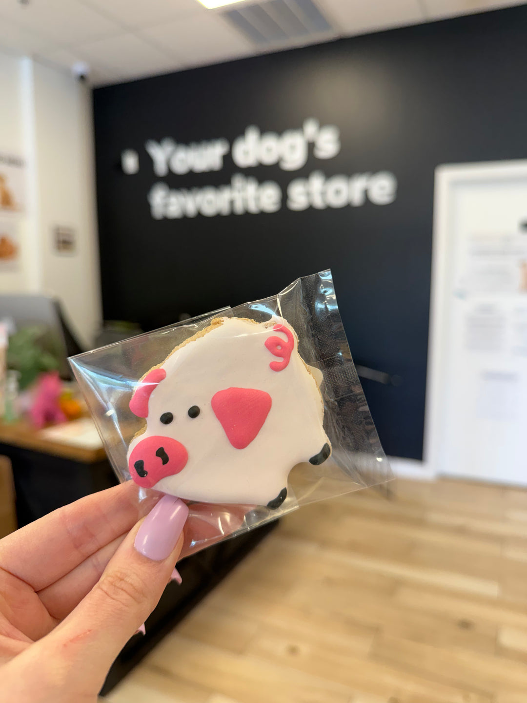 Bakery Table: Pig (Single Cookie)