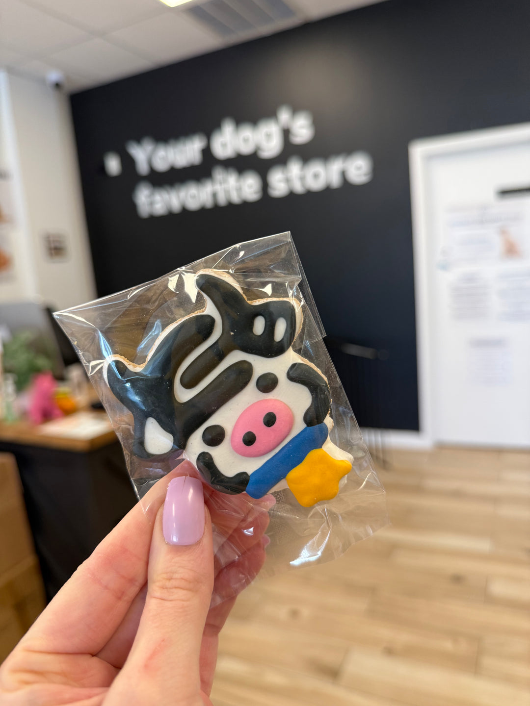 Bakery Table: Cow (Single Cookie)