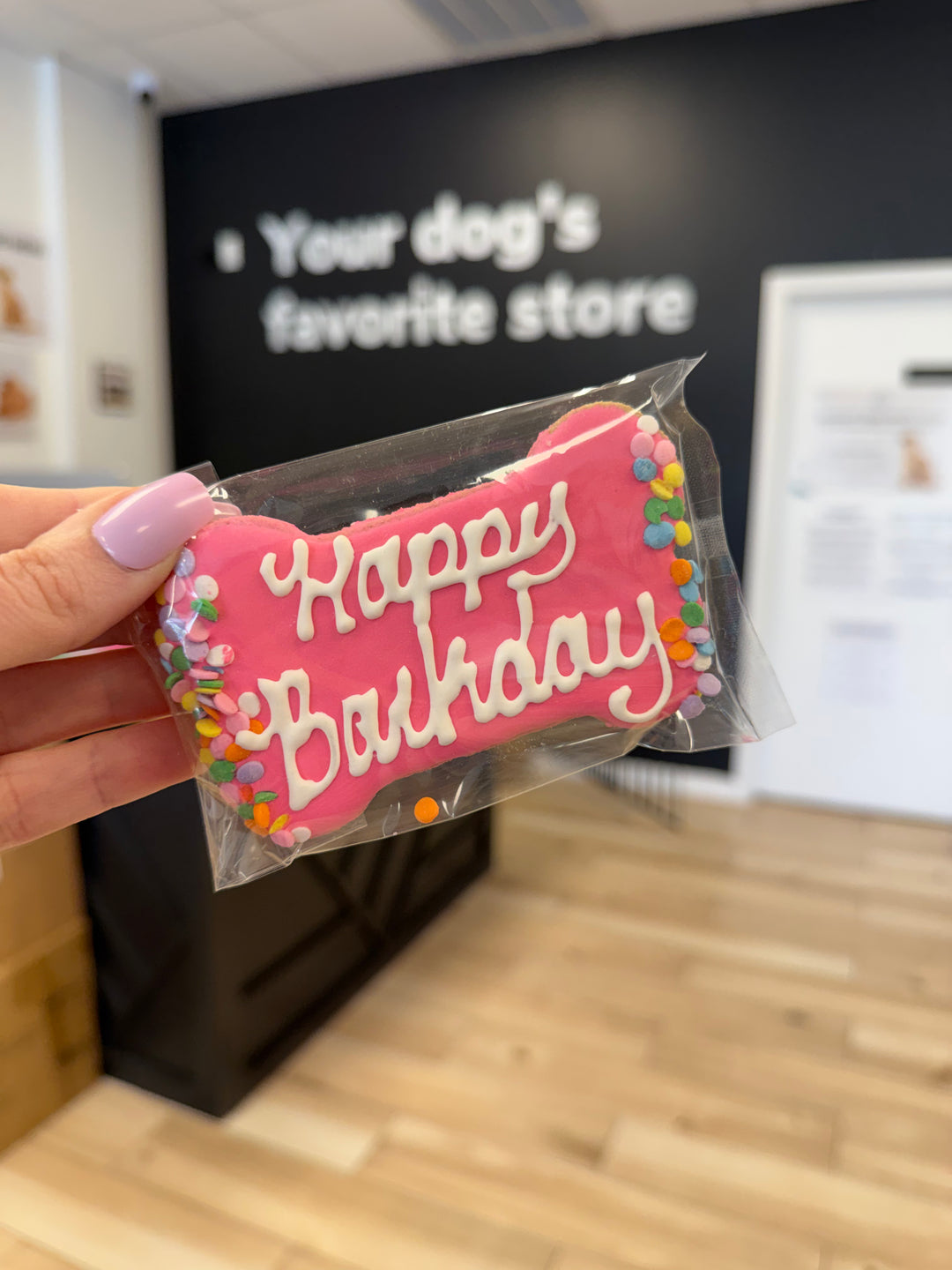 Bakery Table: Happy Barkday Bone Asst. Colors (Single Cookie)