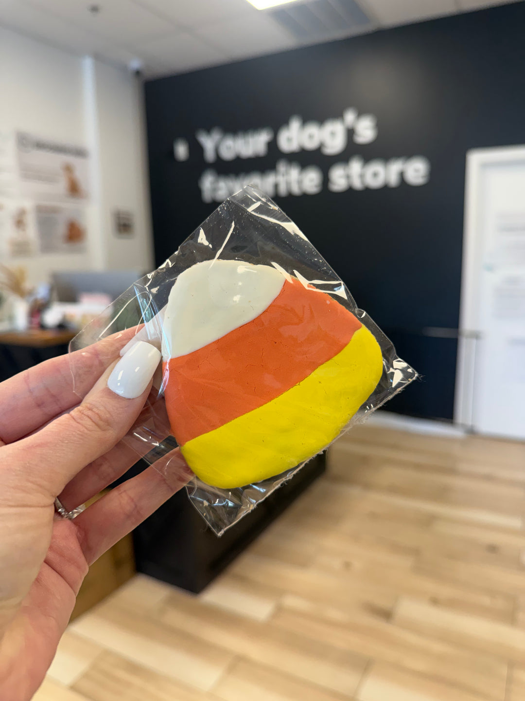 Bakery Table: Candy Corn (Single Cookie)