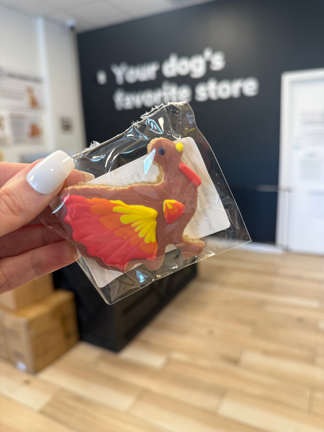 Bakery Table: Festive Turkey (Single Cookie)
