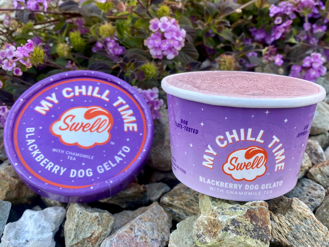 Swell Gelato for Dogs: Chill Time - Blackberry Chamomile 4.5oz