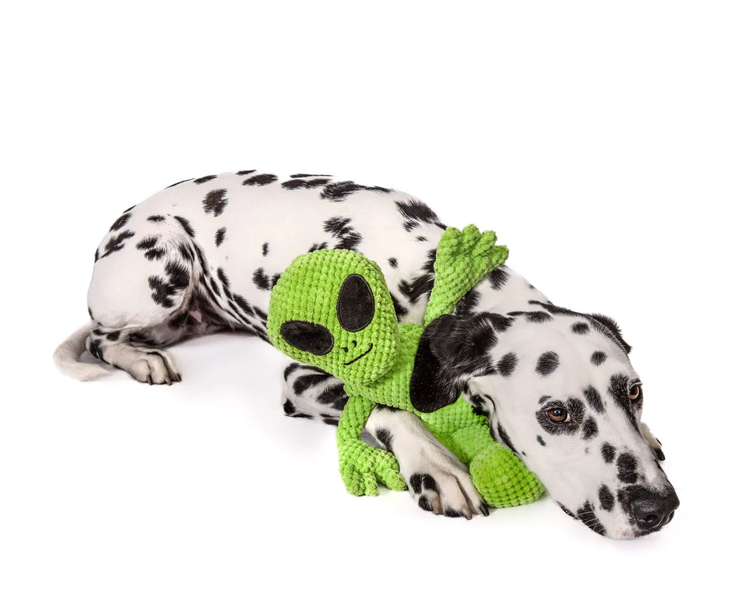 Floppy Alien Dog Toy