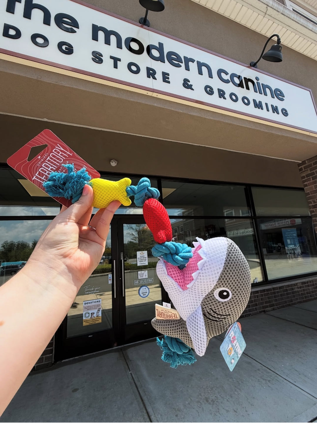 Dog Toy: Floating Shark Rope Toy