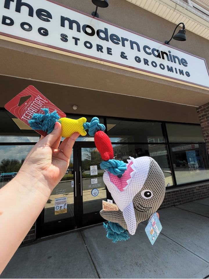 Dog Toy: Floating Shark Rope Toy