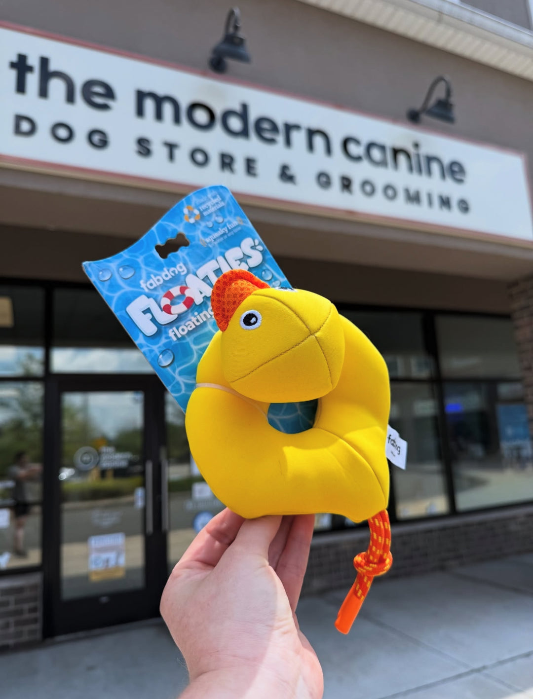 Dog Toy: Floatie Duck