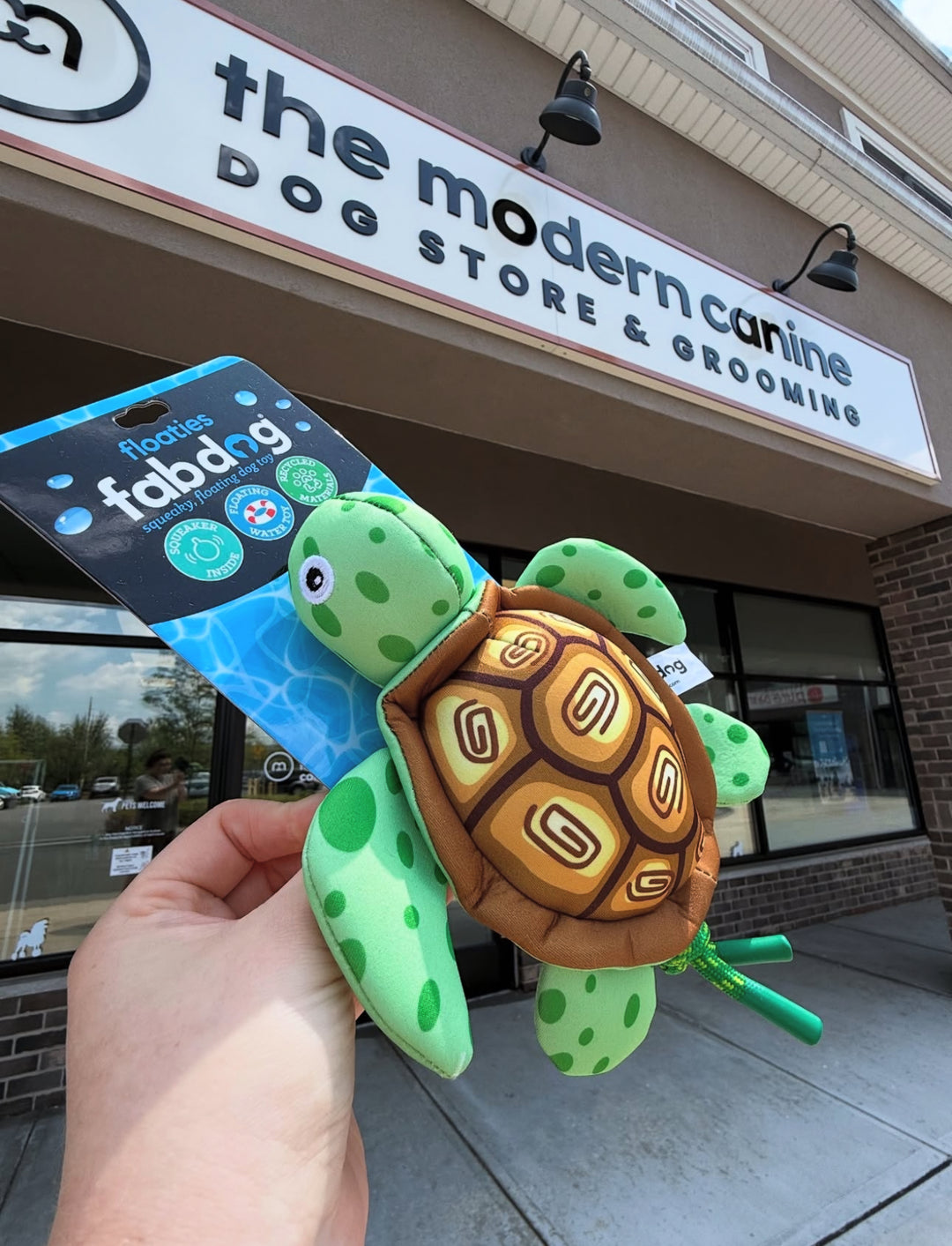 Dog Toy: Floatie Turtle