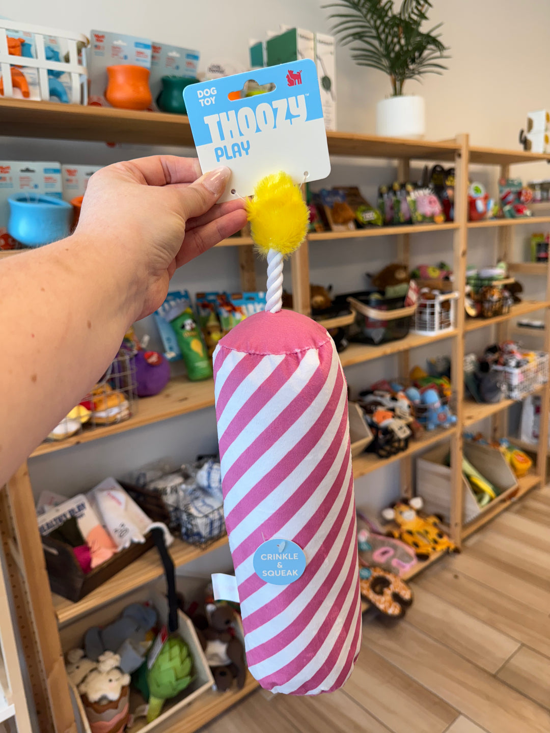 Dog Toy: Birthday Candle Plush - Pink