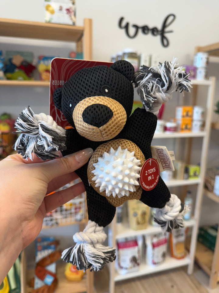 Dog Toy: Black Bear 2-in-1 Toy