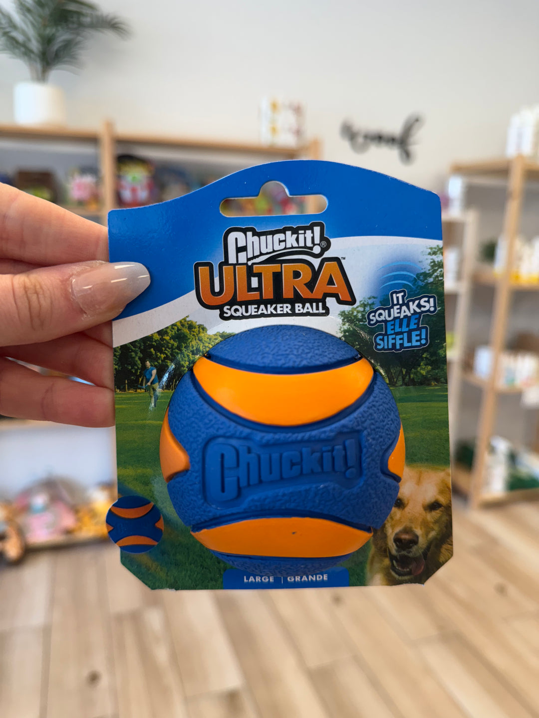Dog Toy: Chuckit! - Ultra Squeaker Ball (Large)