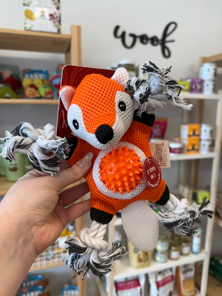 Dog Toy: Fox 2-in-1 Toy
