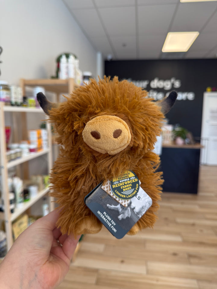 Dog Toy: Plush Highland Cow Plush, 8-inch