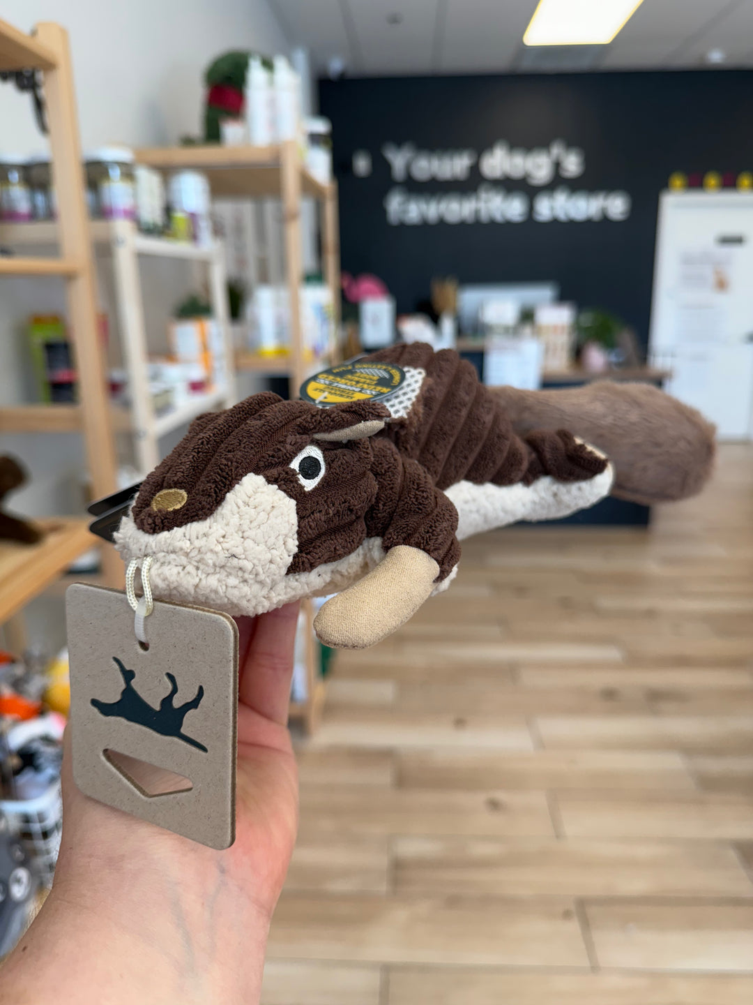 Dog Toy: Squirrel Plush 12"