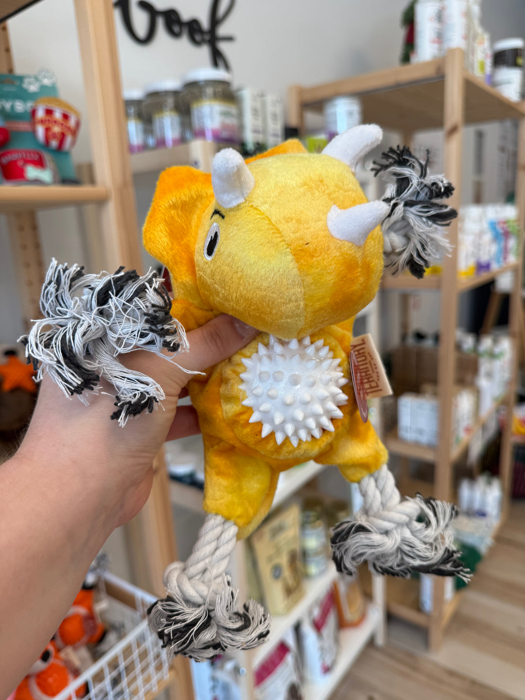Dog Toy: Triceratops 2-in-1 Tug Fetch Toy