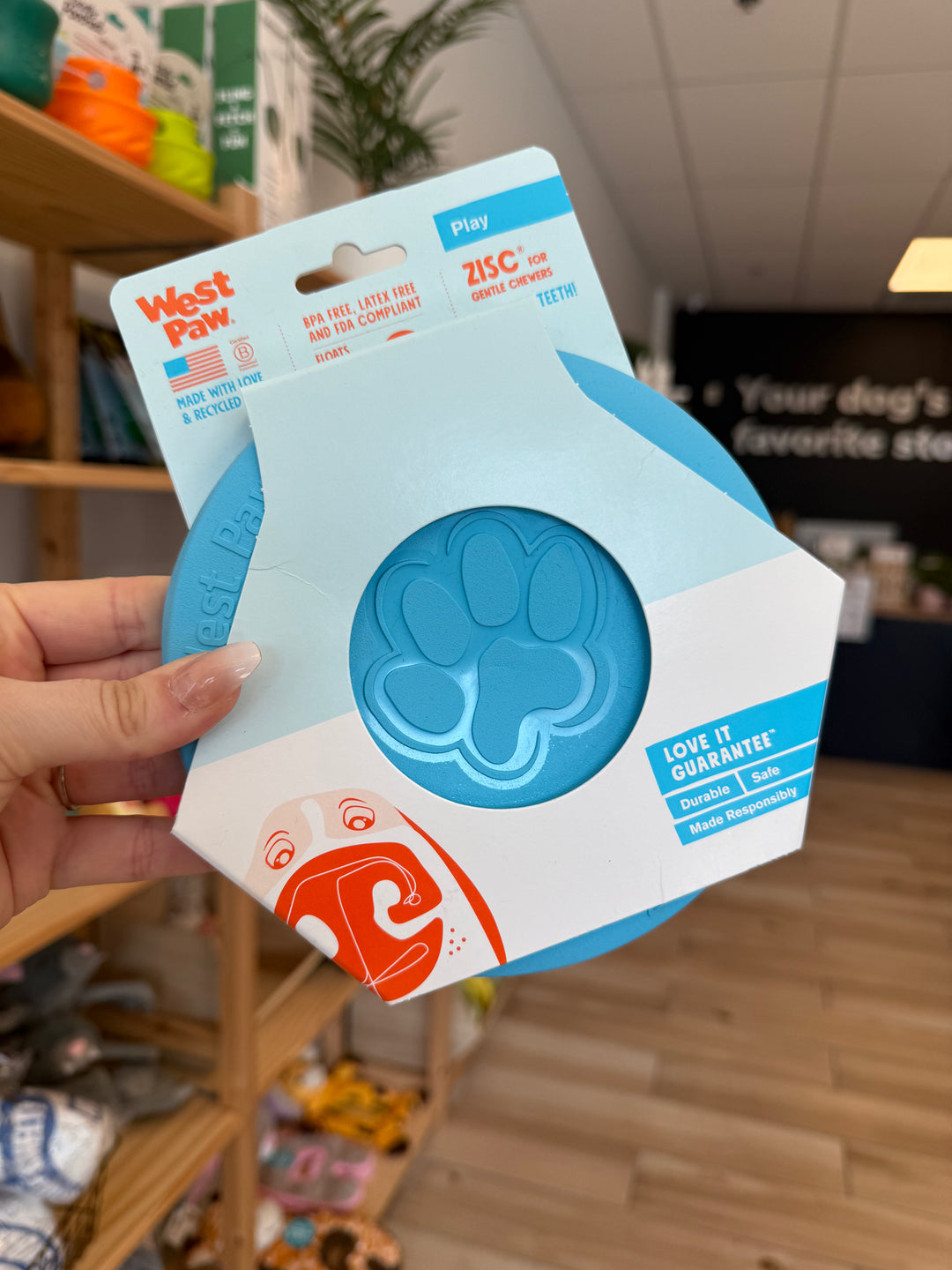 Dog Toy: Zisc Frisbee - Small