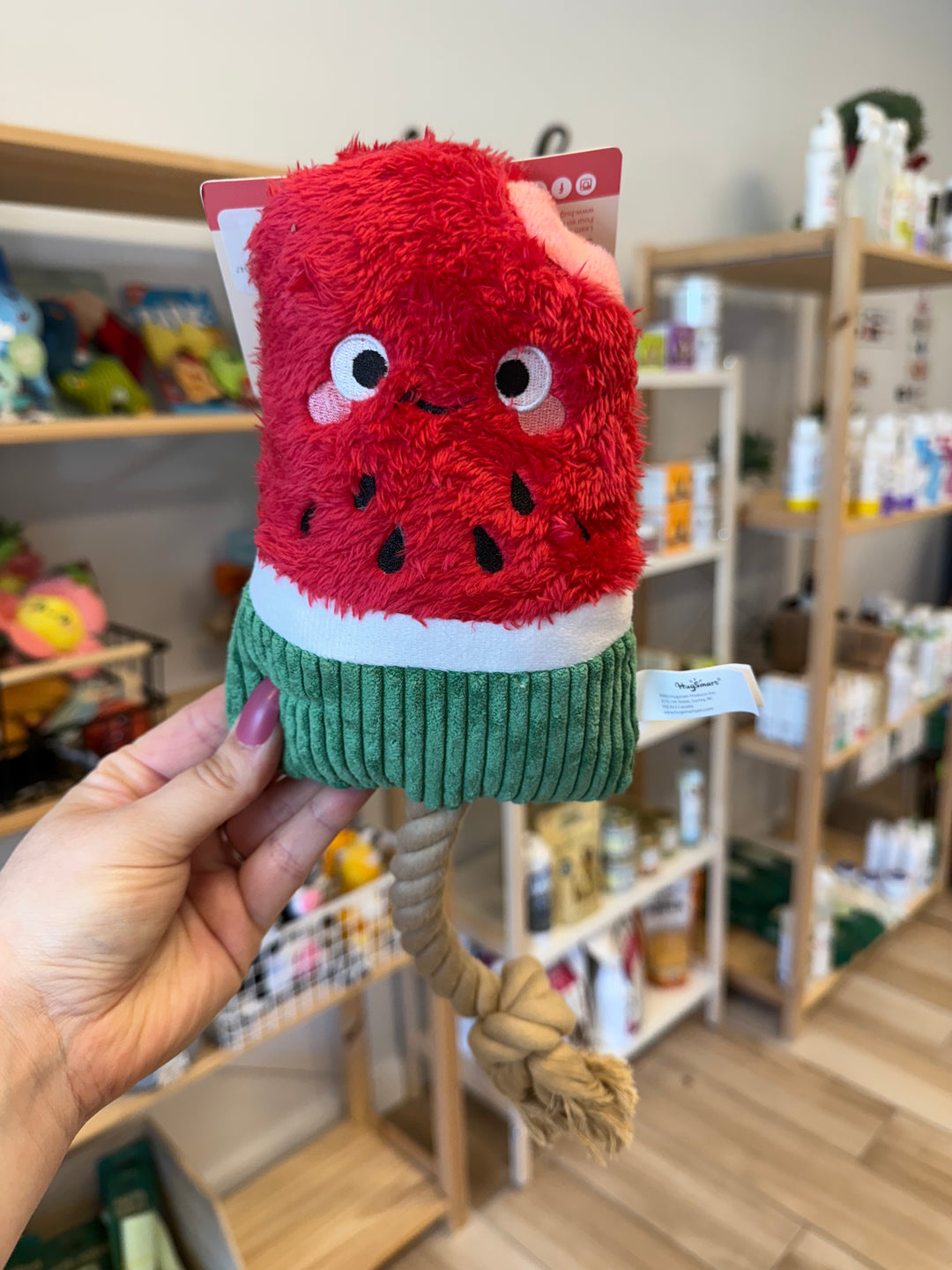 Dog Toy: Watermelon Popsicle Plush
