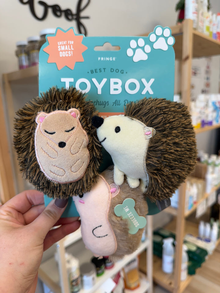 Dog Toy: Hedgehogs Plush Toy Set 3pc