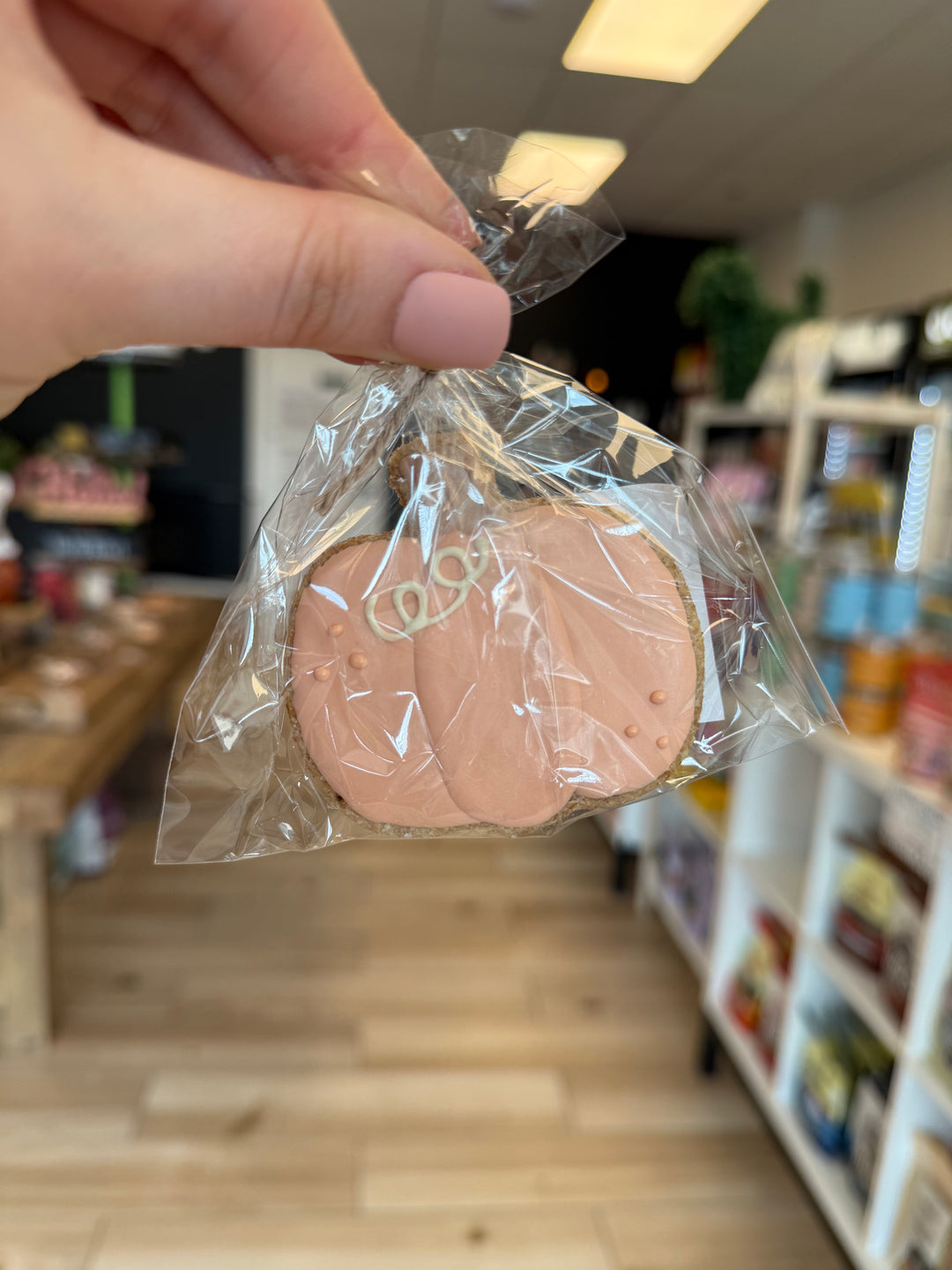 Bakery Table: Single Cookie - Pumpkin