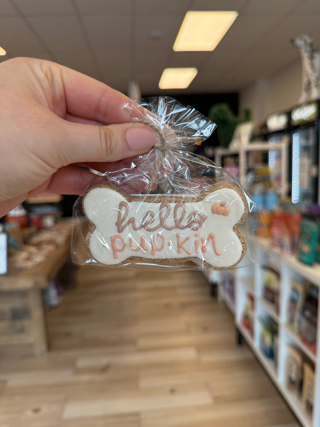 Bakery Table: Single Cookie - Hello Pupkin