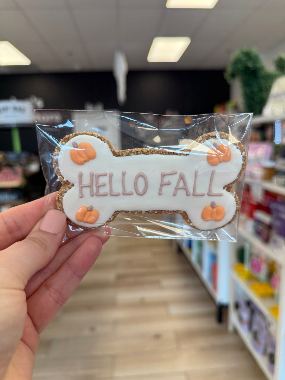 Bakery Table: Single Cookie - Hello Fall