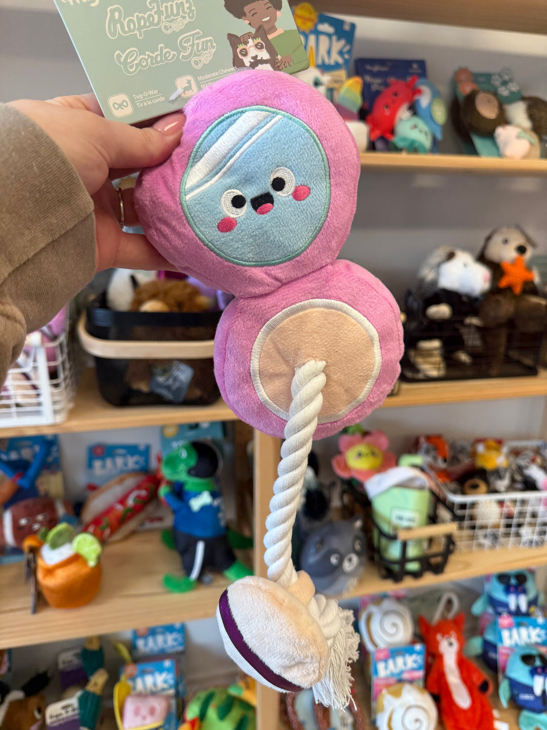 Dog Toy: Cushion Foundation Toy