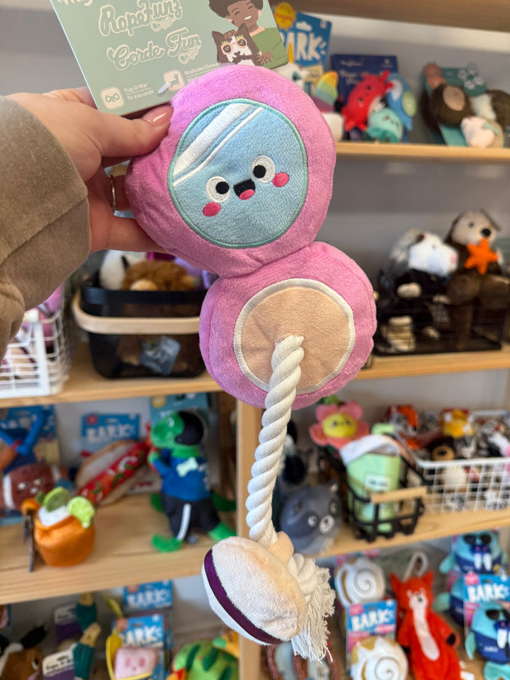 Dog Toy: Cushion Foundation Toy