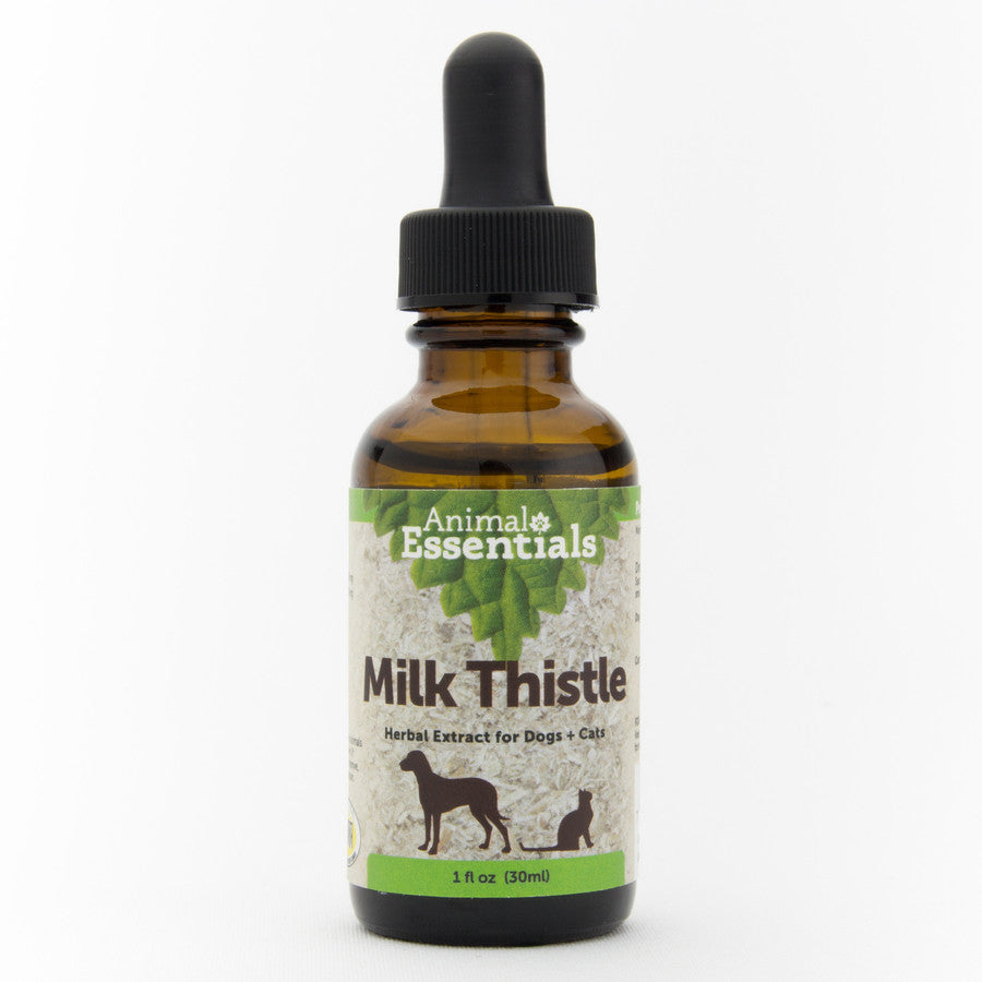 Milk Thistle - Animal Essentials