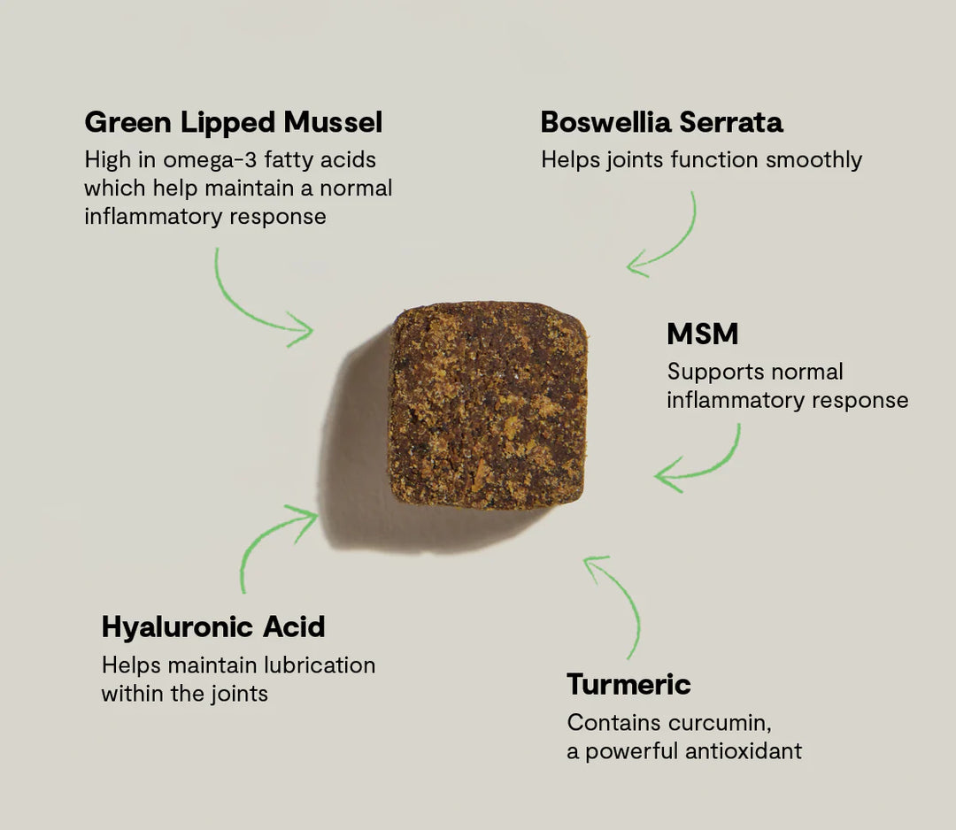 Open Farm - Hip & Joint Supplement Chews 90ct