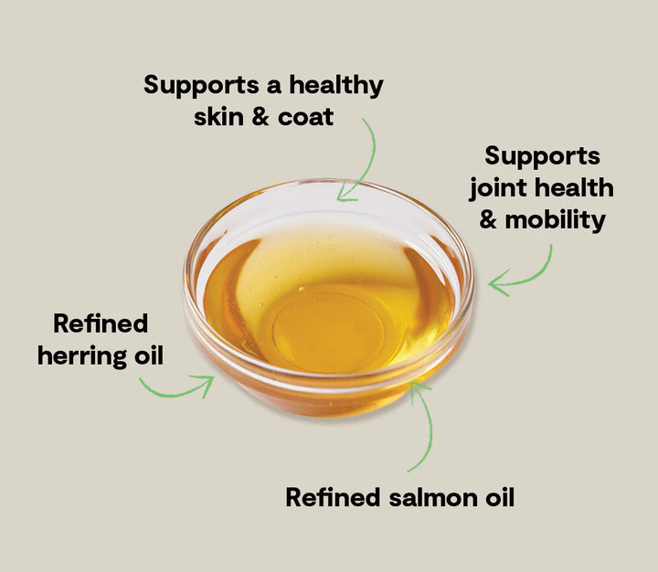 Open Farm - Icelandic Herring & Salmon Oil 16.9oz