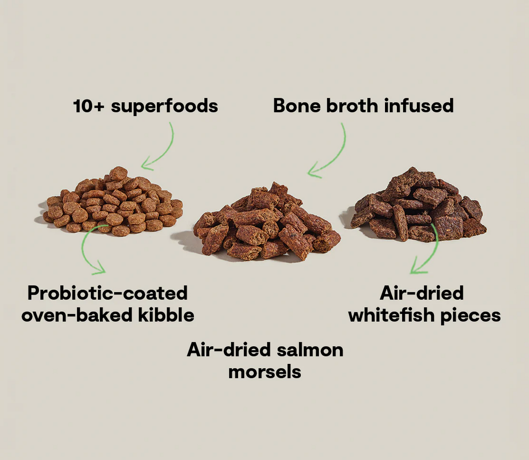 Open Farm - Epic Blend Salmon & Superfood Dog Food 3.5lb