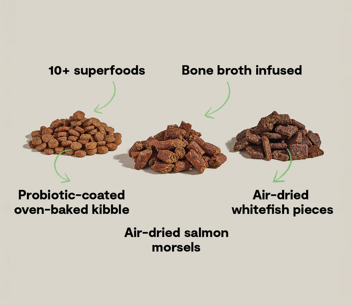 Open Farm - Epic Blend Salmon & Superfood Dog Food 3.5lb