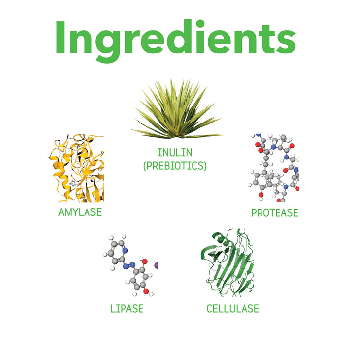 inClover - Optagest: Plant Based Prebiotics & Digestive Enzymes 100g