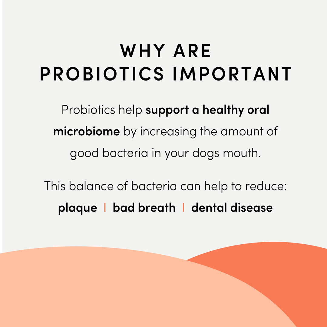 Crumps - Probiotic Infused Dental Sticks (10-pack)