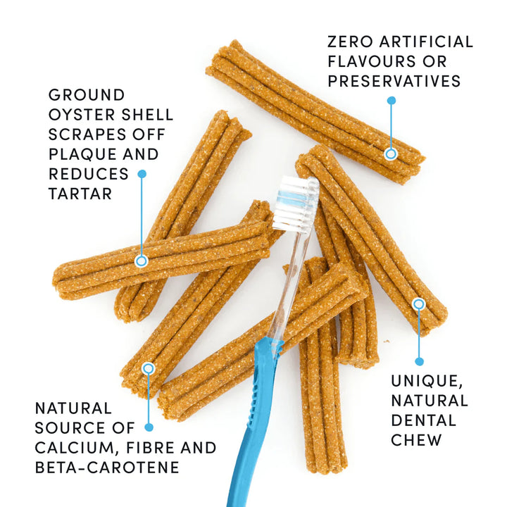 Crumps - Pumpkin Spice Dental Sticks (10-pack)
