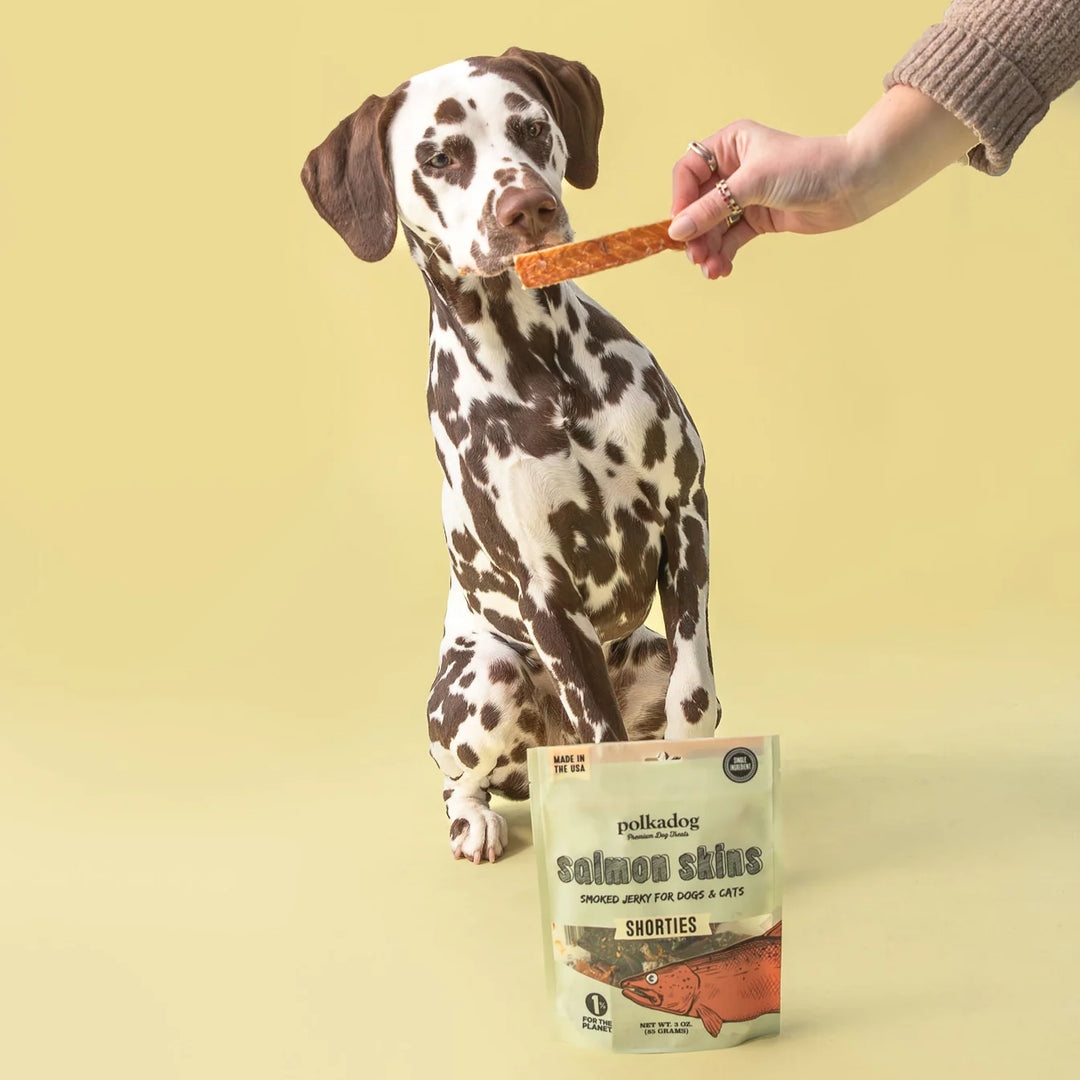 Polkadog - Salmon Skin Dog Treats 3oz