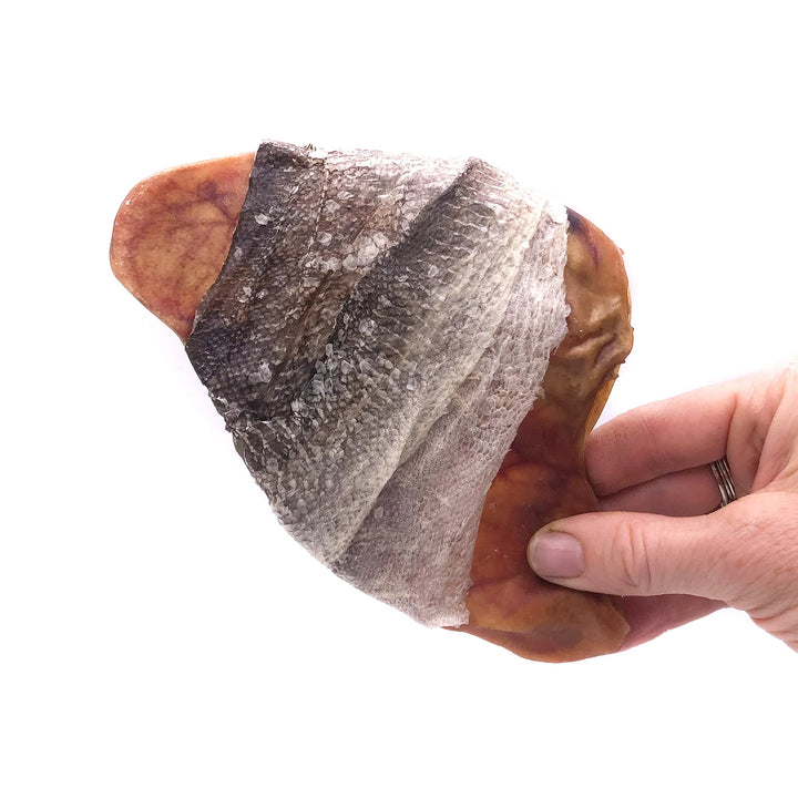 Chew Bar (Single): Cod Wrapped Pig Ear