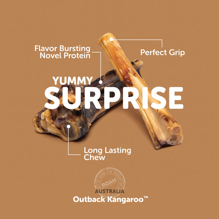 Roam - Kanga Chew (2-pack)