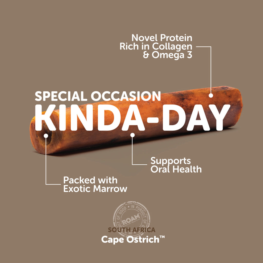 Roam - Smoked Ostrich Marrow Bone (Large 1-pack)