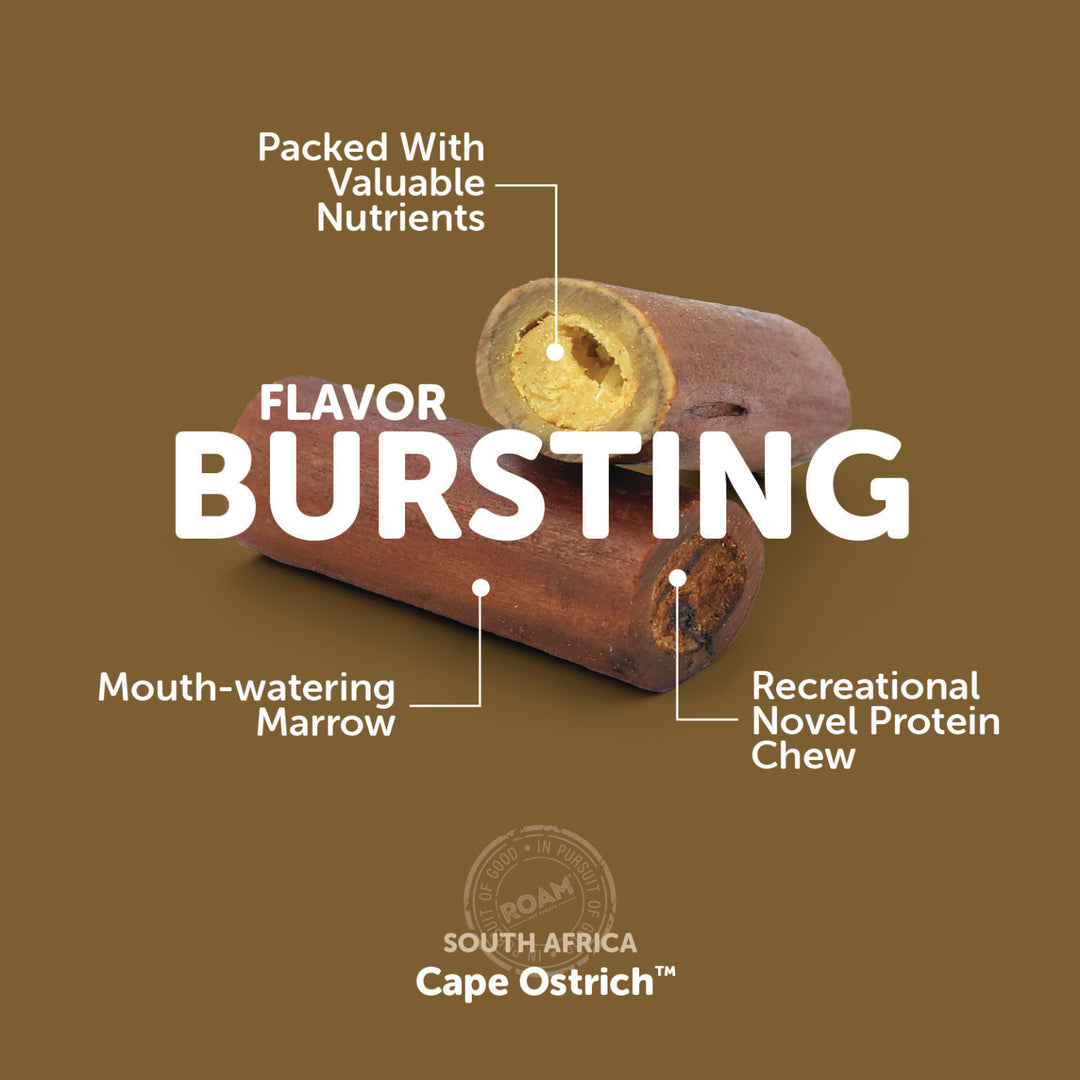 Roam - Smoked Ostrich Marrow Bone (Small 2-Pack)