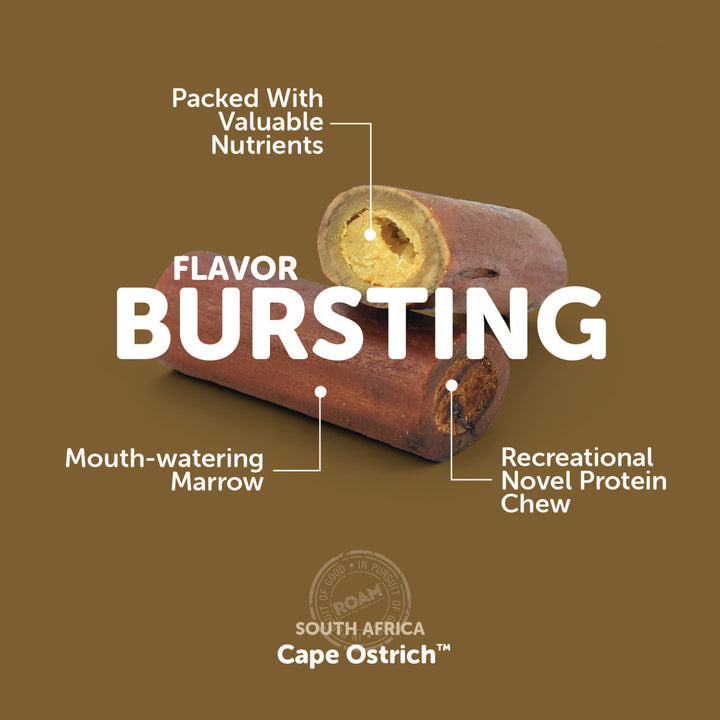 Roam - Smoked Ostrich Marrow Bone (Small 2-Pack)